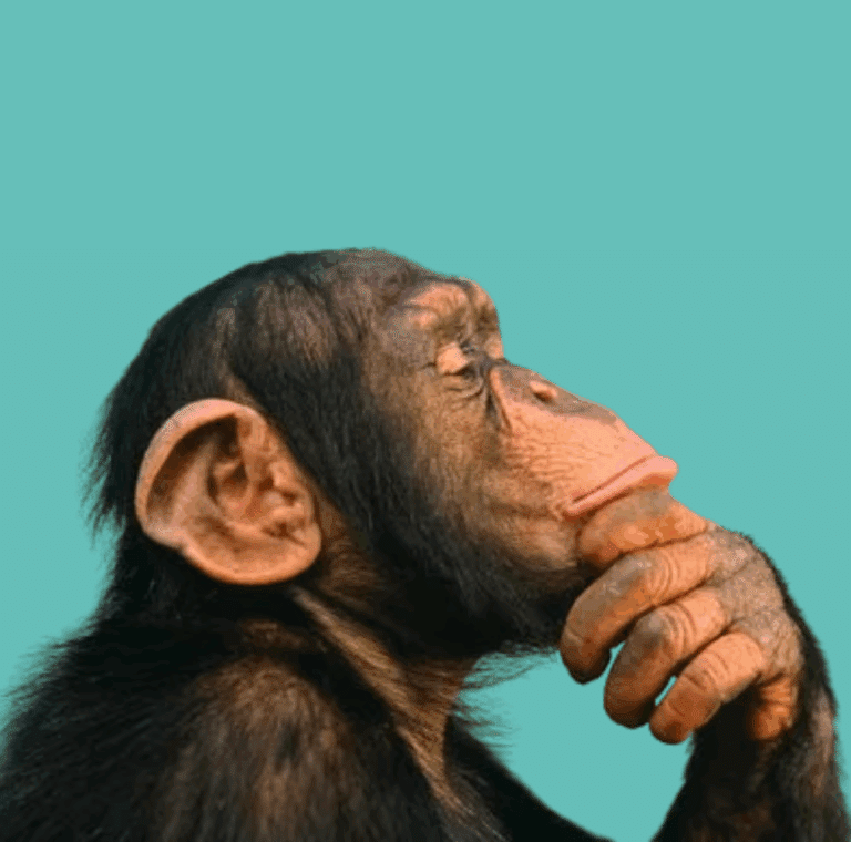 Shamac Lawyers Police Rights